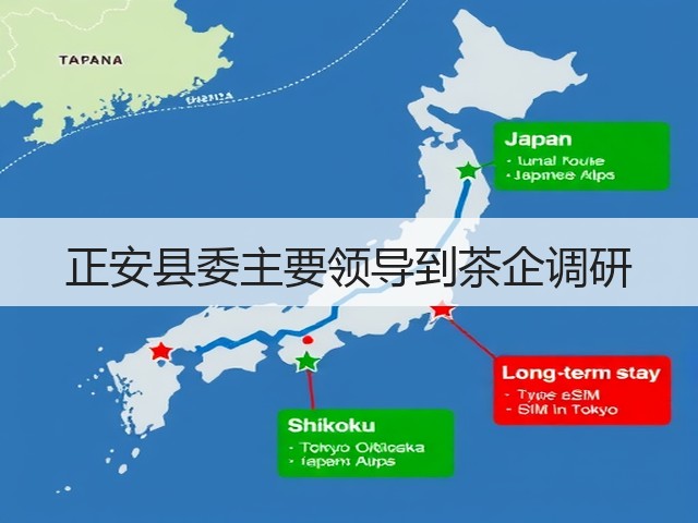正安县委主要领导到茶企调研