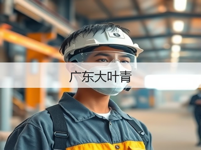 广东大叶青