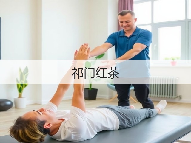 祁门红茶 祁门红茶