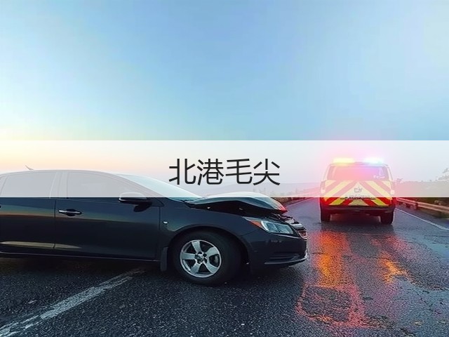 北港毛尖 北港毛尖