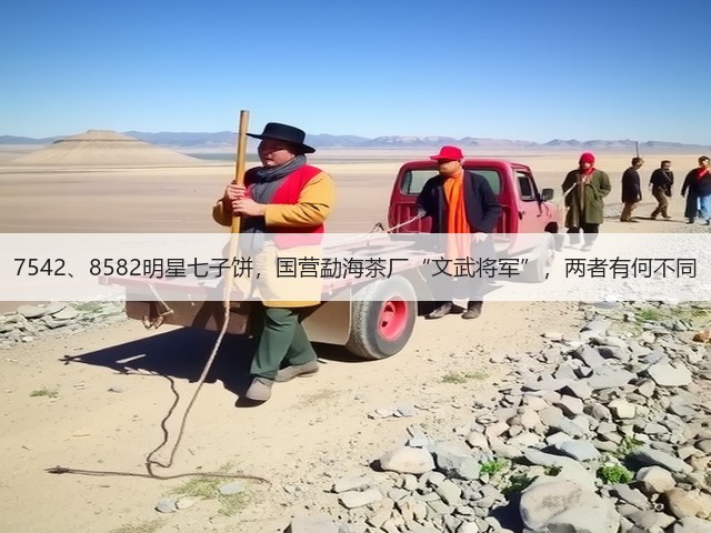 7542、8582明星七子饼，国营勐海茶厂“文武将军”，两者有何不同