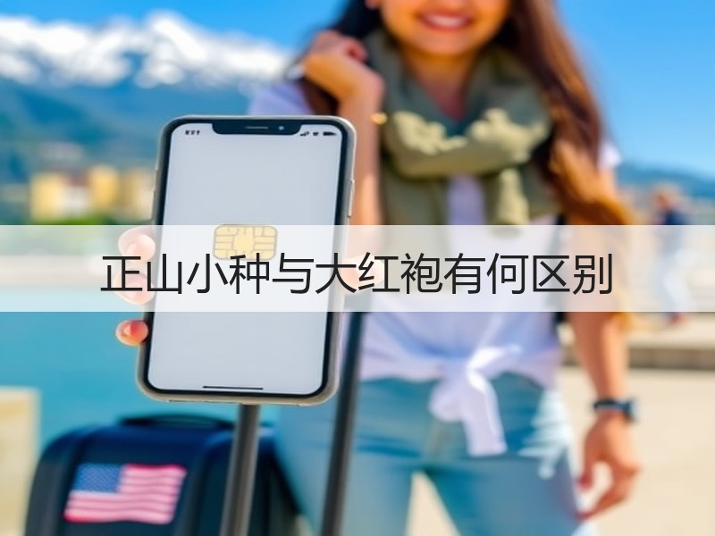 正山小种与大红袍有何区别