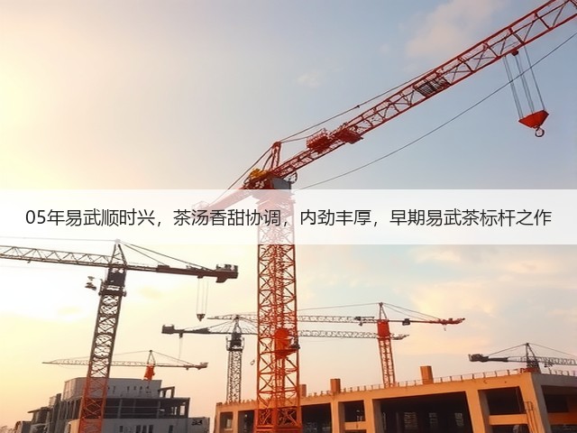 05年易武顺时兴，茶汤香甜协调，内劲丰厚，早期易武茶标杆之作