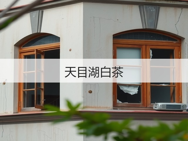天目湖白茶 天目湖白茶