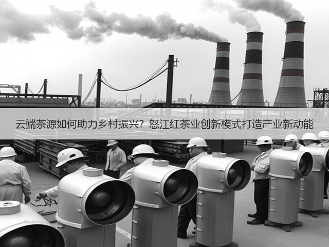 云端茶源如何助力乡村振兴？怒江红茶业创新模式打造产业新动能