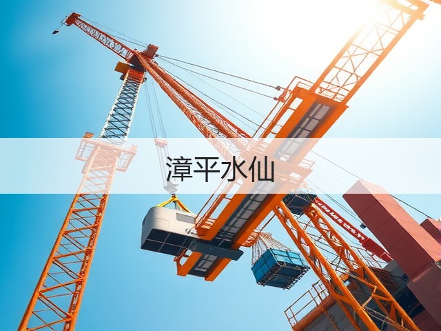 漳平水仙