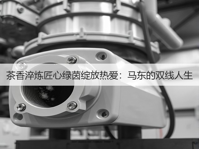 茶香淬炼匠心绿茵绽放热爱:马东的双线人生 茶香淬炼匠心绿茵绽放热爱:马东的双线人生