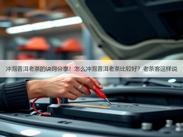 冲泡普洱老茶的诀窍分享!怎么冲泡普洱老茶比较好?老茶客这样说 冲泡普洱老茶的诀窍分享!怎么冲泡普洱老茶比较好?老茶客这样说