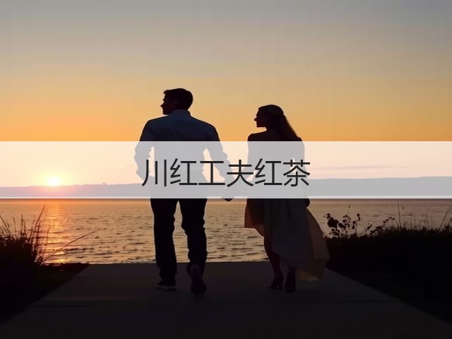 川红工夫红茶 川红工夫红茶