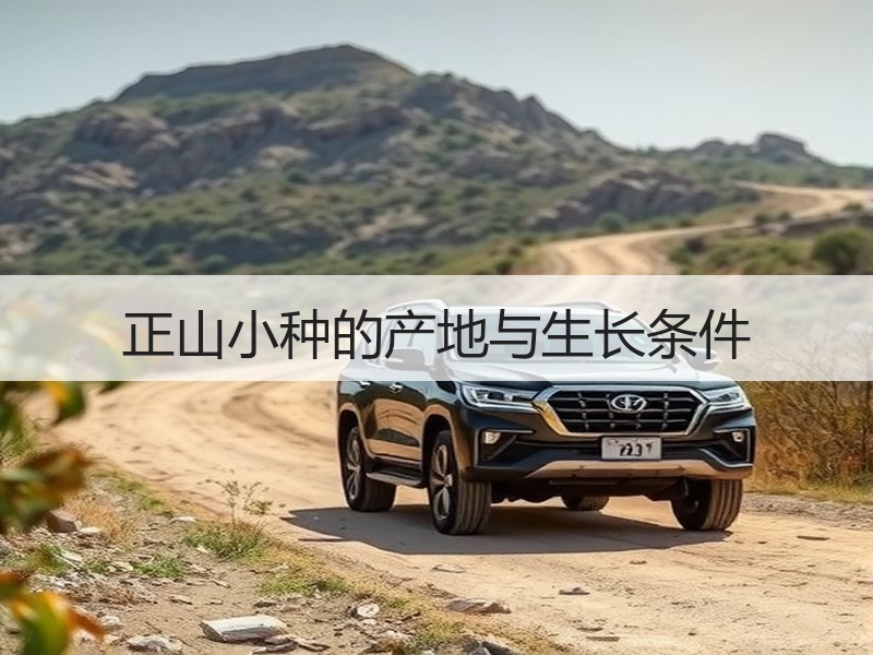 正山小种的产地与生长条件