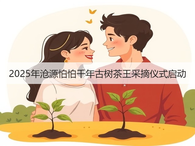 2025年沧源怕怕千年古树茶王采摘仪式启动 2025年沧源怕怕千年古树茶王采摘仪式启动