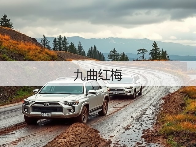 九曲红梅 九曲红梅