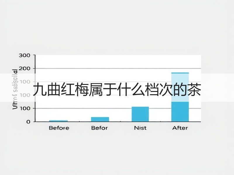 九曲红梅属于什么档次的茶