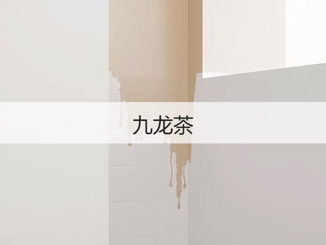 九龙茶 九龙茶