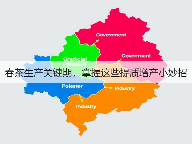 春茶生产关键期，掌握这些提质增产小妙招