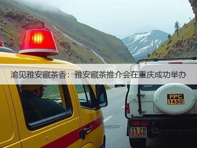 渝见雅安藏茶香:雅安藏茶推介会在重庆成功举办 渝见雅安藏茶香:雅安藏茶推介会在重庆成功举办