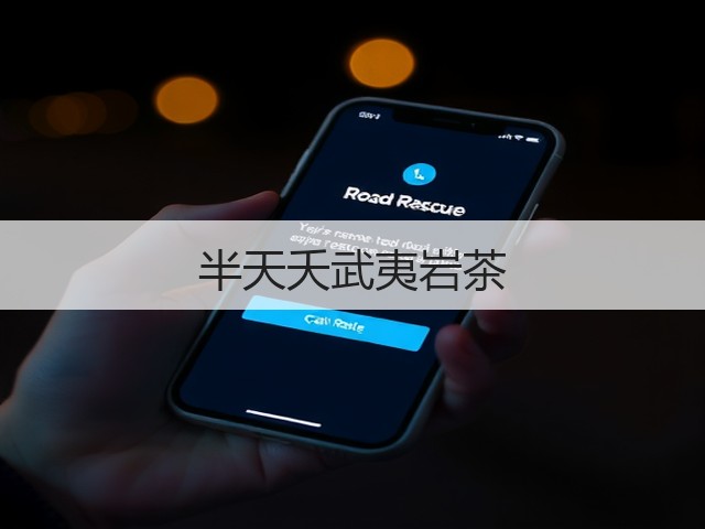 半天夭武夷岩茶 半天夭武夷岩茶