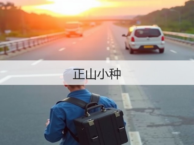 正山小种 正山小种
