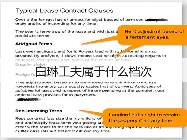 白琳工夫属于什么档次 白琳工夫属于什么档次