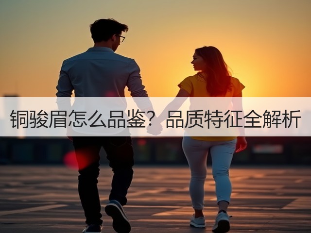 铜骏眉怎么品鉴？品质特征全解析
