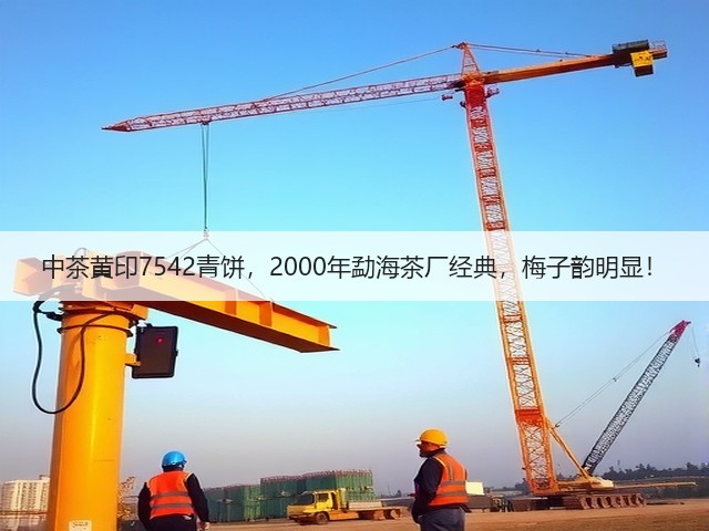 中茶黄印7542青饼，2000年勐海茶厂经典，梅子韵明显！