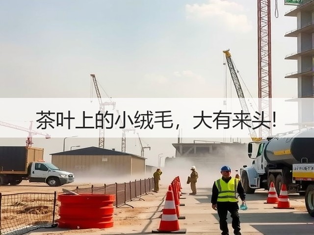 茶叶上的小绒毛，大有来头!