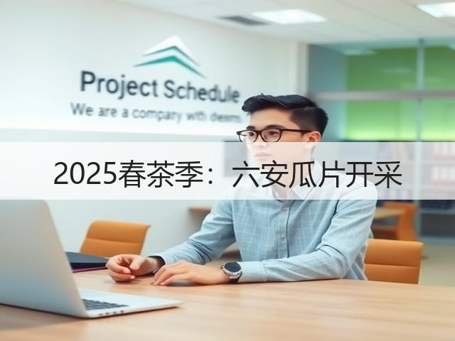 2025春茶季：六安瓜片开采