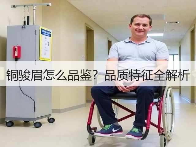 铜骏眉怎么品鉴？品质特征全解析