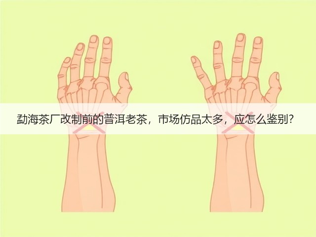 勐海茶厂改制前的普洱老茶，市场仿品太多，应怎么鉴别？