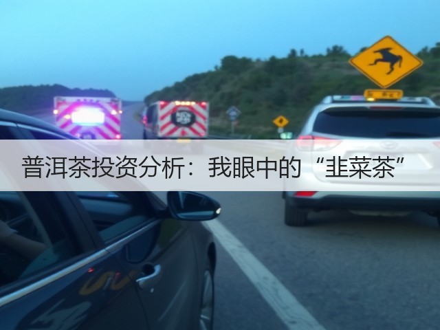 普洱茶投资分析:我眼中的“韭菜茶” 普洱茶投资分析:我眼中的“韭菜茶”