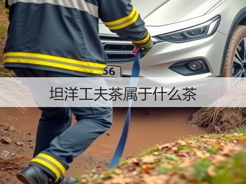坦洋工夫茶属于什么茶