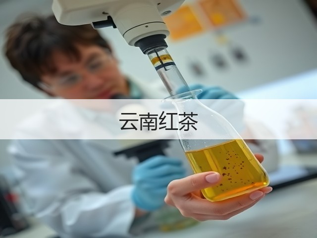 云南红茶 云南红茶