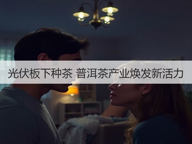 光伏板下种茶 普洱茶产业焕发新活力 光伏板下种茶 普洱茶产业焕发新活力