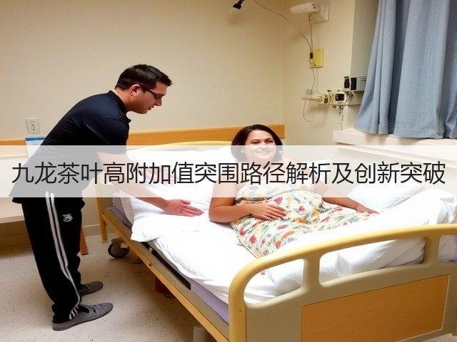 九龙茶叶高附加值突围路径解析及创新突破