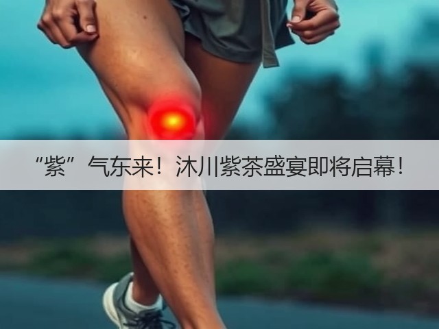 “紫”气东来！沐川紫茶盛宴即将启幕！