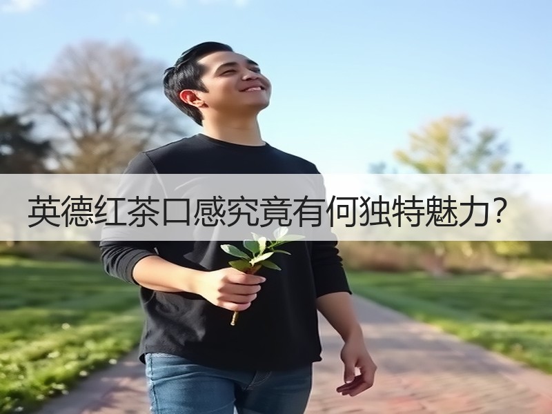 英德红茶口感究竟有何独特魅力？