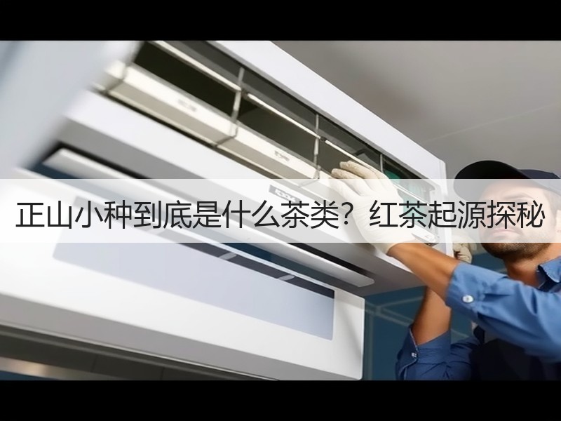 正山小种到底是什么茶类?红茶起源探秘 正山小种到底是什么茶类?红茶起源探秘