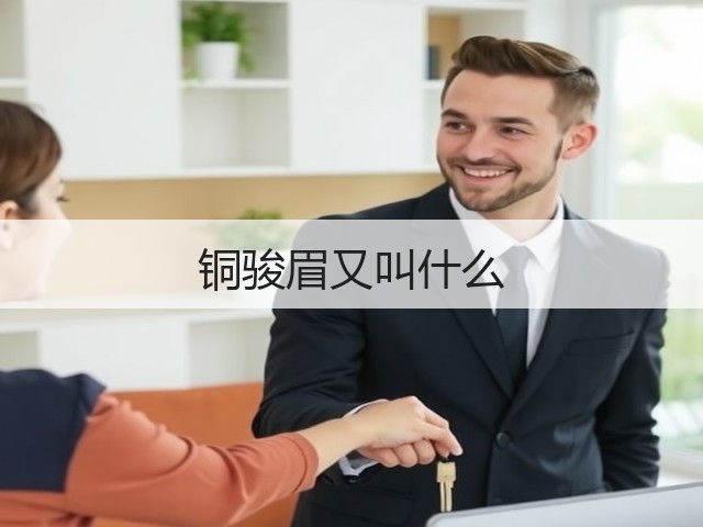 铜骏眉又叫什么