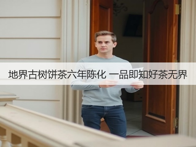 地界古树饼茶六年陈化 一品即知好茶无界 地界古树饼茶六年陈化 一品即知好茶无界