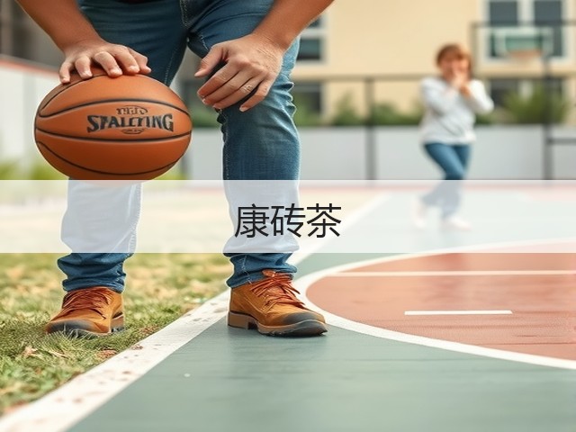 康砖茶 康砖茶