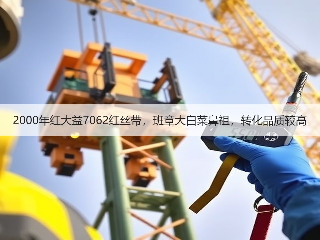 2000年红大益7062红丝带，班章大白菜鼻祖，转化品质较高