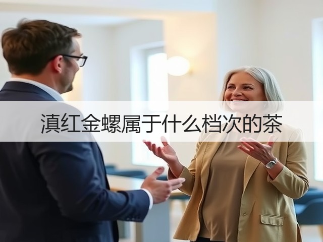 滇红金螺属于什么档次的茶