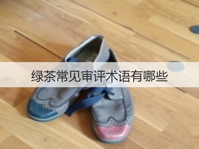 绿茶常见审评术语有哪些