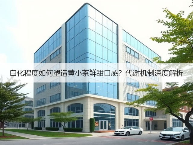 白化程度如何塑造黄小茶鲜甜口感?代谢机制深度解析 白化程度如何塑造黄小茶鲜甜口感?代谢机制深度解析