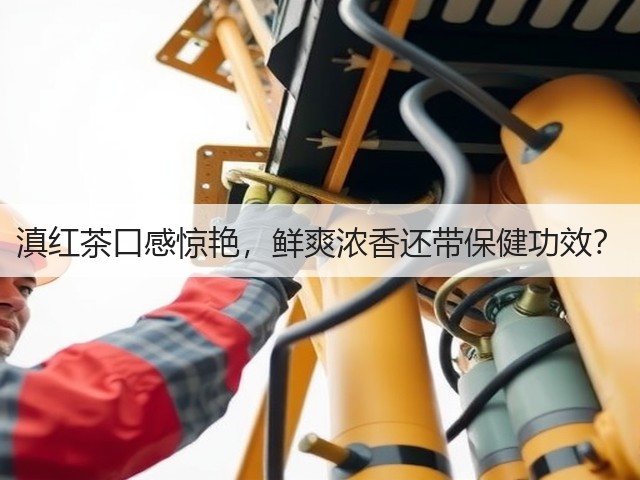 滇红茶口感惊艳，鲜爽浓香还带保健功效？
