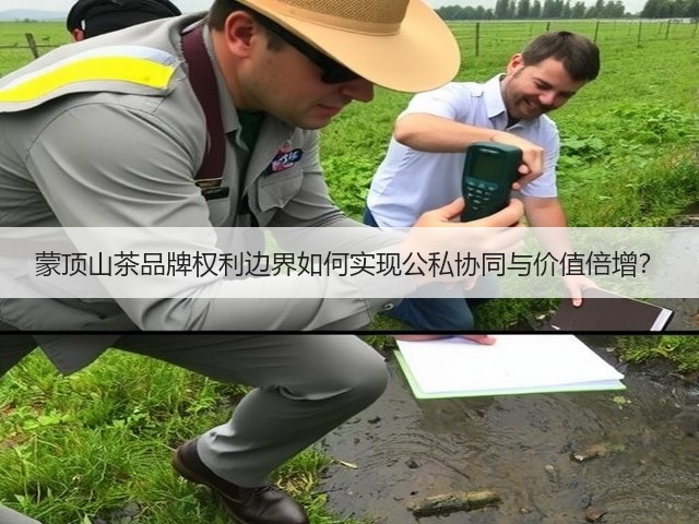 蒙顶山茶品牌权利边界如何实现公私协同与价值倍增? 蒙顶山茶品牌权利边界如何实现公私协同与价值倍增?