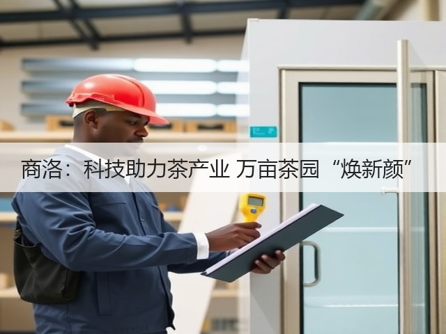 商洛：科技助力茶产业 万亩茶园“焕新颜”