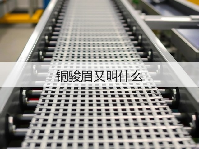 铜骏眉又叫什么