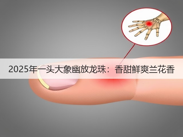 2025年一头大象幽放龙珠:香甜鲜爽兰花香 2025年一头大象幽放龙珠:香甜鲜爽兰花香