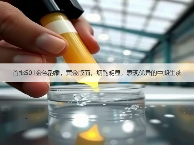首批501金色韵象，黄金版面，烟韵明显，表现优异的中期生茶